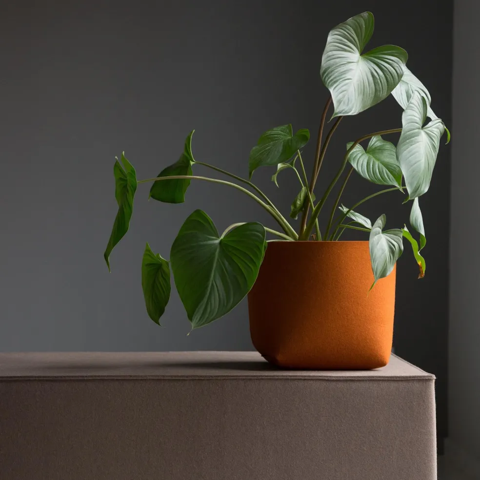 Silo Pflanzenübertopf L