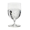 Sommeliers Wasserglas