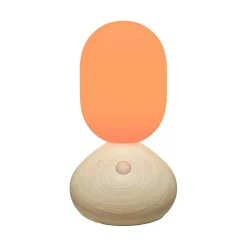 Sun Home LED Tischleuchte