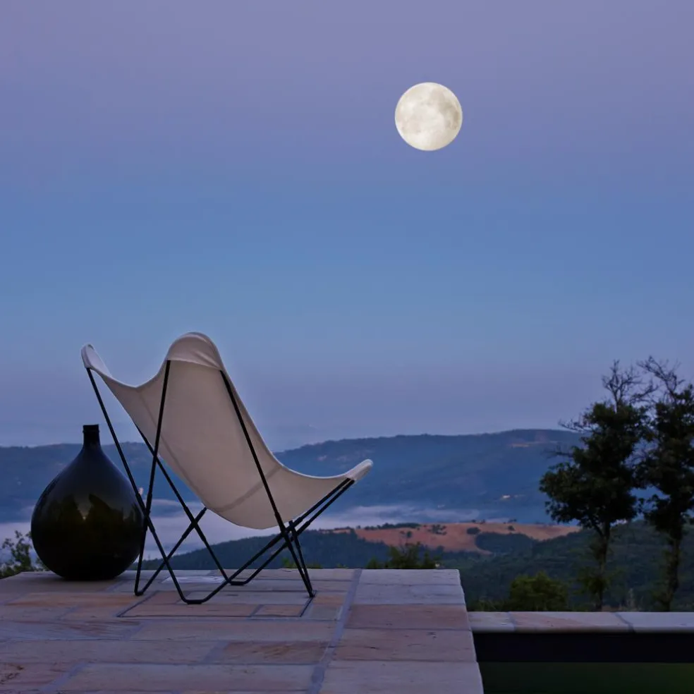 Sunshine Mariposa Sunbrella Butterfly Gartensessel