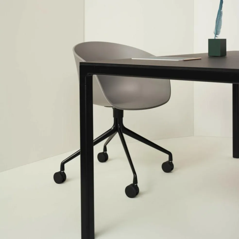 T12 Konferenztisch Linoleum