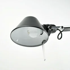 Tolomeo Micro Terra Stehleuchte