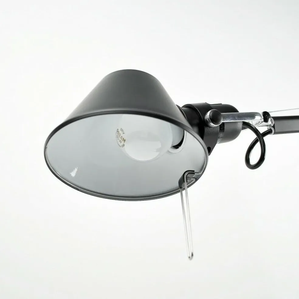 Tolomeo Micro Terra Stehleuchte
