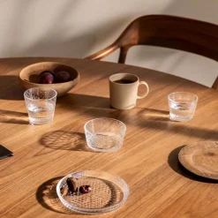 Tundra Schale 4er Set 25cl