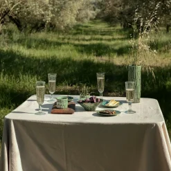 Verde Lanza Schale XS