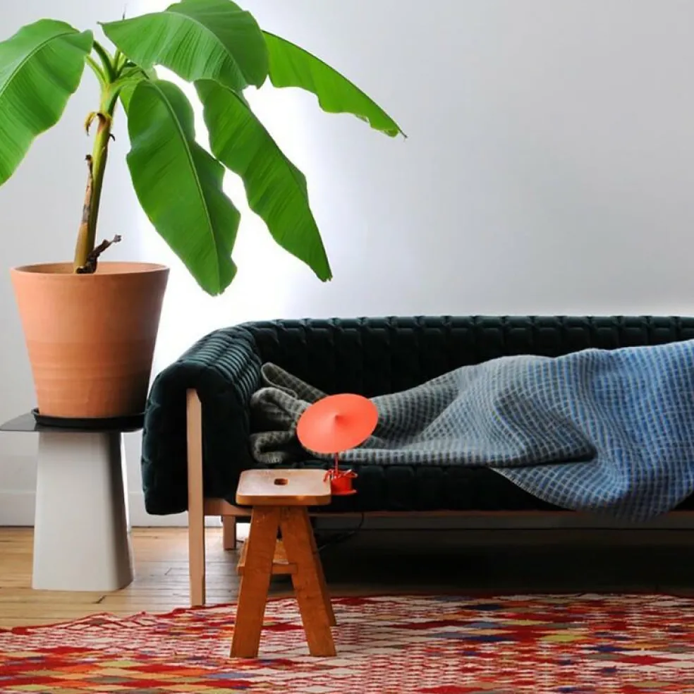 w153 Île LED Tisch-/Wandleuchte